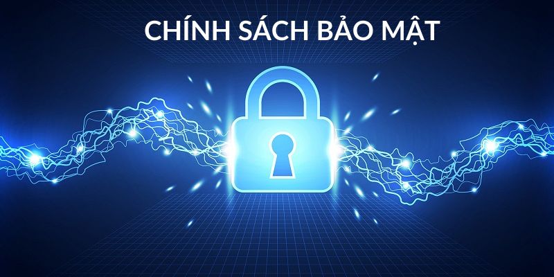 Một vài thông tin khái quát
